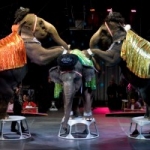 UNIVERSOUL CIRCUS BRINGS NEW AMAZING ACTS TO SOUTH FLORIDA FEBRUARY 1-6, 2011