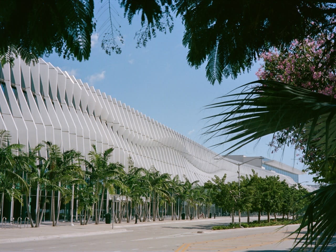 New Year's Eve in Miami 2026: The PGM Guide to NYE