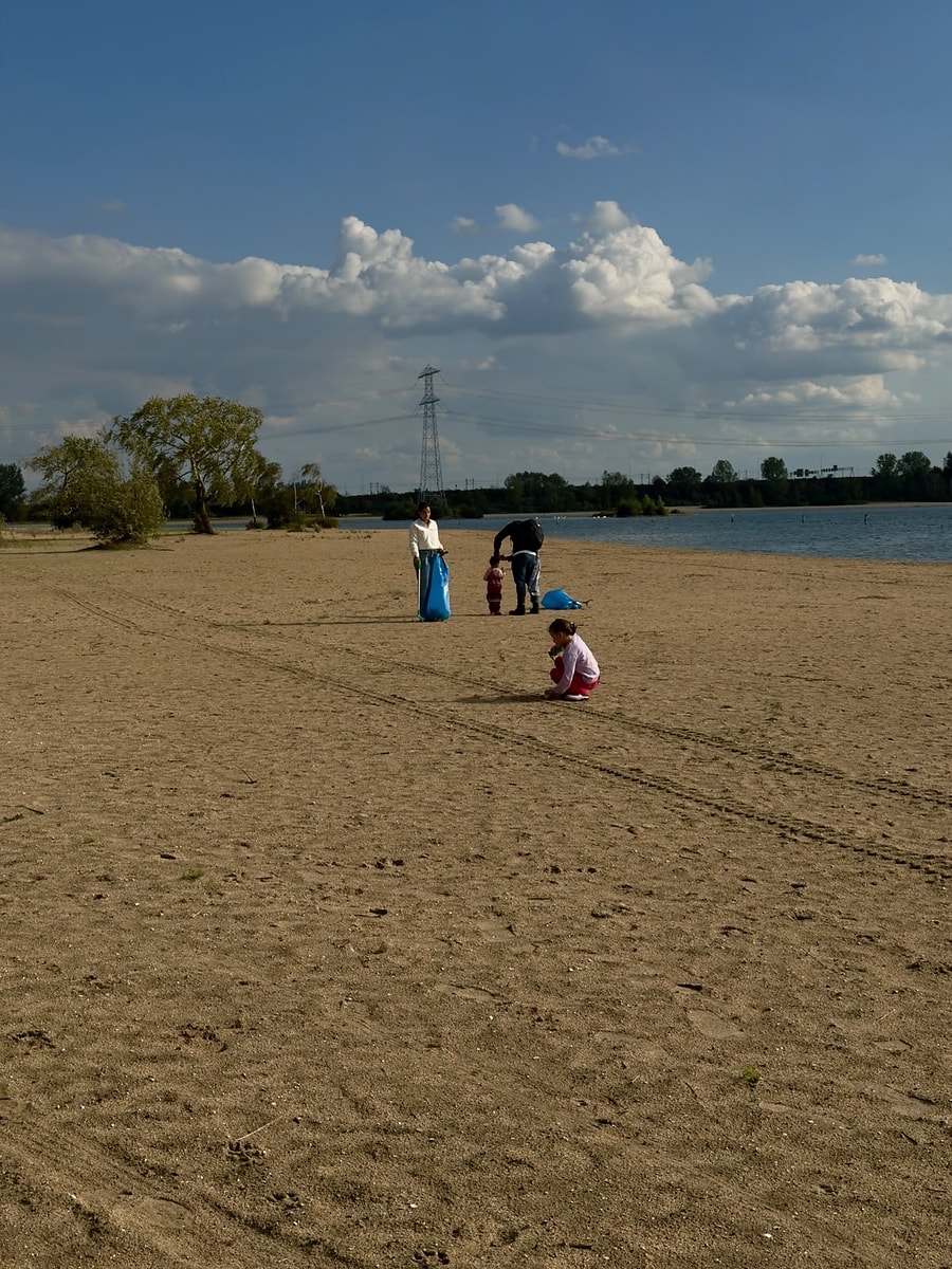 Carnival Corporation volunteers collecting debris from a beach shoreline