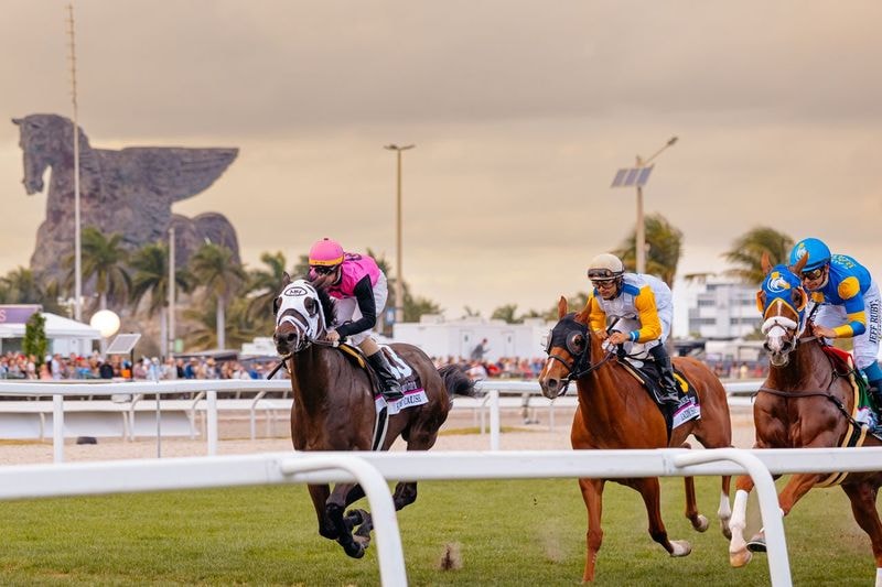 Horses racing at Gulfstream Park with the iconic winged horse monument in the background