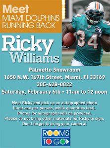 RWilliams_2010_PalmettoPoster_meg