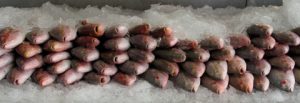 slow fish dinner