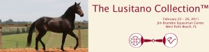 The Lusitano Collection™ International Horse Auction