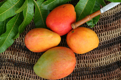 Mango Festival