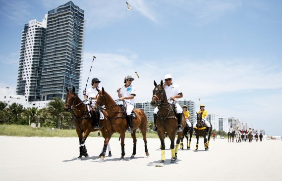 Marching Polo Ponies