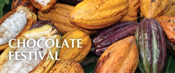 600600p486ednmainchocolate