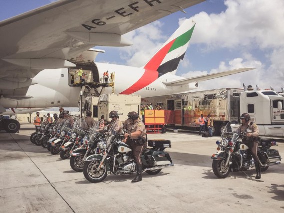 The horses arriving in Miami International Airport / Photo LGCT
