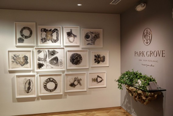 Michele Oka Doner Drawings at One Park Grove
