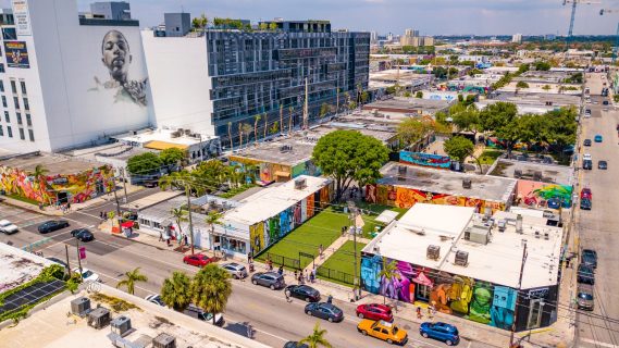 Wynwood, Miami, Fl. (image courtesy of Metro1)   