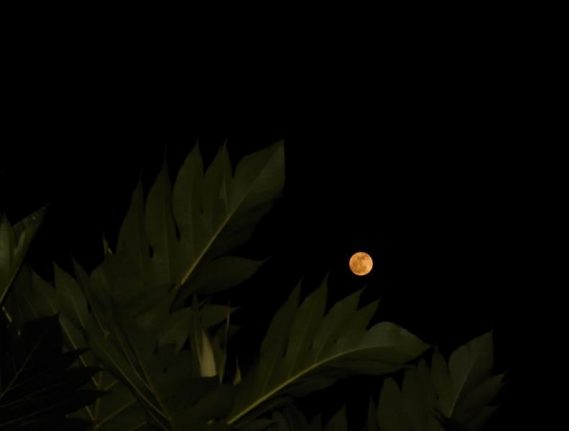 Full Moon Yoga + Sound Healing