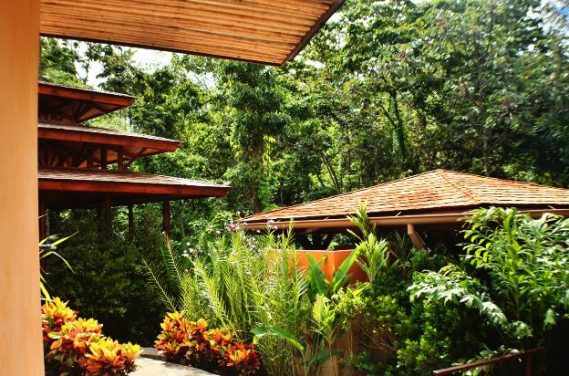 Enjoy a digital detox at Nayara Springs in Costa Rica