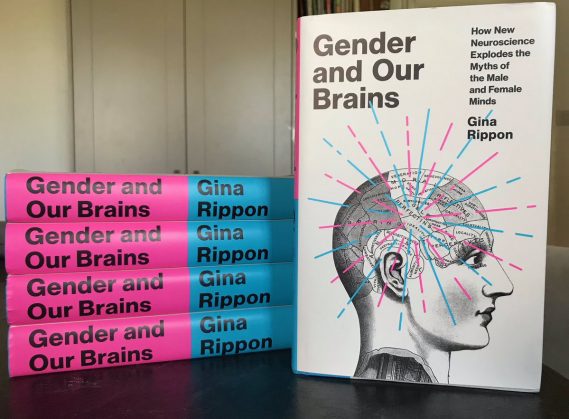 GENDER AND OUR BRAINS