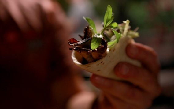 Tacos After Dark hosted by Danny Trejo