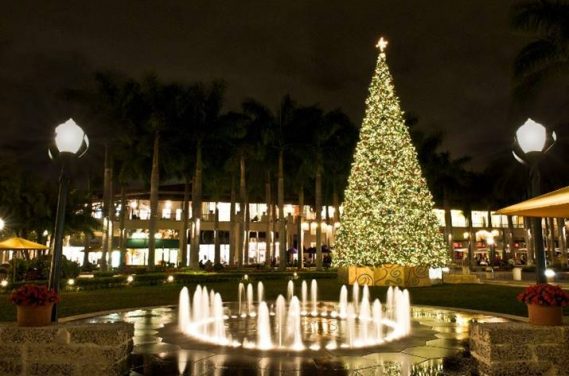 Merrick Park 16th Annual Tree Lighting Ceremony