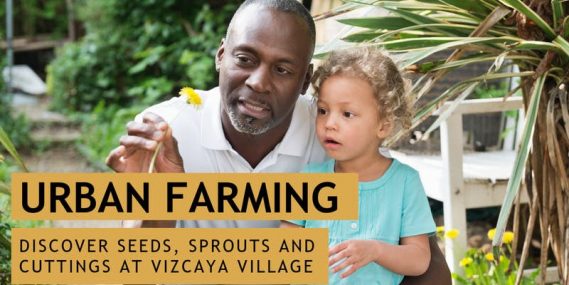 Vizcaya Eats | Edible Gardening for Kids