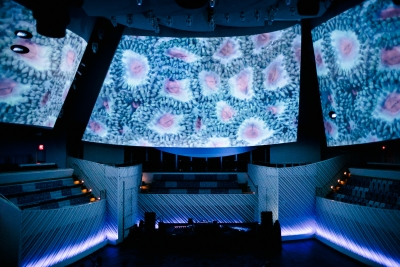 Coral Orgy at the New World Center Miami Beach/ Coral Morphologic, 2017/ Courtesy of Coral Morphologic