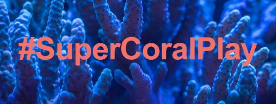 Super Coral Play