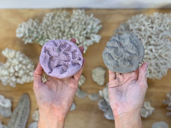 Image: Detail of a silicone mold with coral texture and unfired clay pressing. Courtesy of the artist.