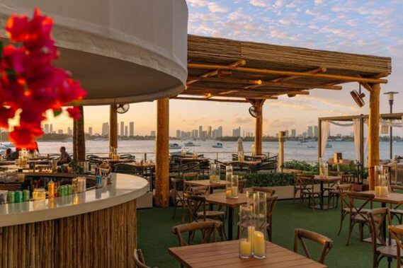 Oysters & Beau at Baia Beach Club