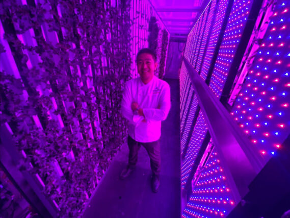 Seven Stars Resort & Spa Executive Chef Edwin R. Gallardo inside his hydroponic farm.