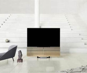 Beovision Harmony - $21,000 www.bang-olufsen.com