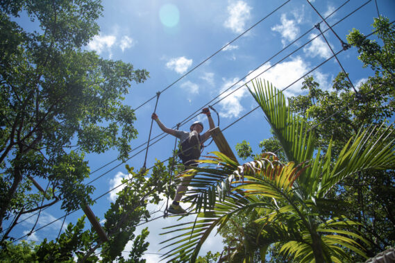 Treetop Trekking Miami experience