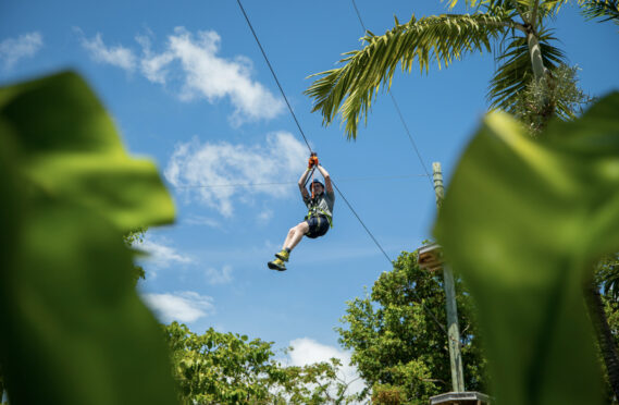 Treetop Trekking Miami experience