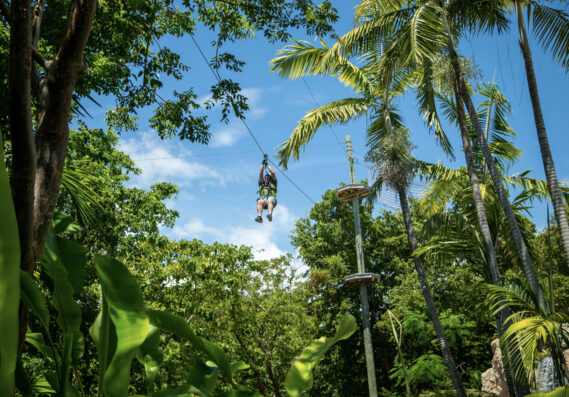 Treetop Trekking Miami experience