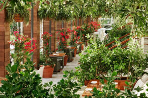 Summer Brunch Offerings at MATADOR ROOM