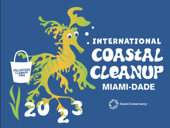 International Coastal Cleanup