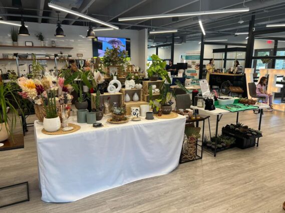 Matt’s Exotics’ Plant Potluck