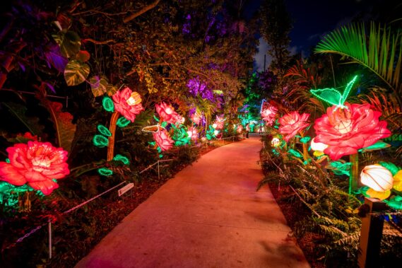 Luminosa's Enchanted Return to Jungle Island