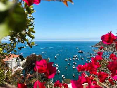 Villa Vie Residences Unveils the Golden Passport – A Lifetime of Unlimited Cruising