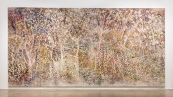 LA-based artist Sam Falls