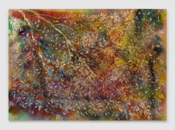 LA-based artist Sam Falls