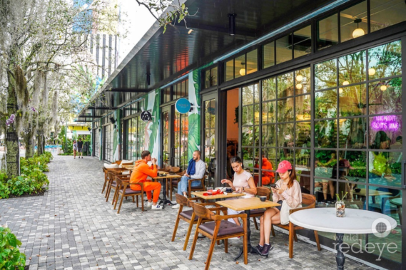 Credit: World Red Eye